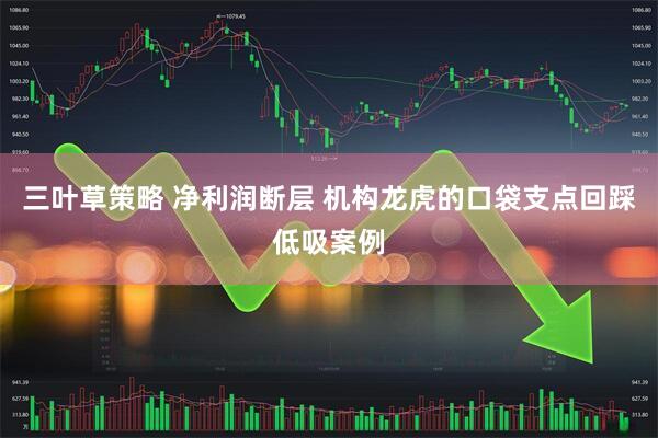 三叶草策略 净利润断层 机构龙虎的口袋支点回踩低吸案例